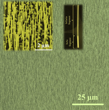 A dense array of nanowires grown on graphene