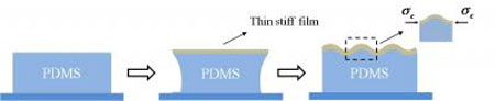 Schematic of the Surface Wrinkling Formation Process