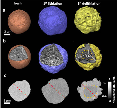 changes of surface morphology and internal microstructure of an individual tin particle