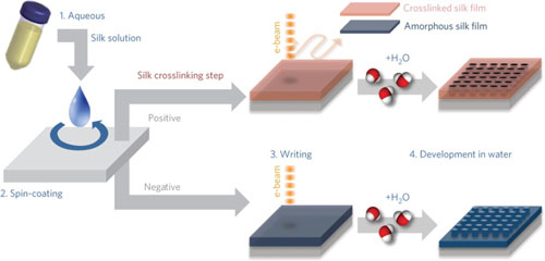 spin coating a silk film