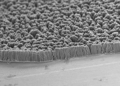 Nanofiber Array