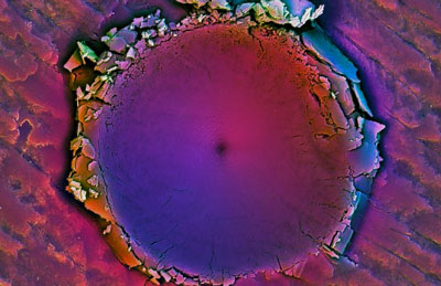 the region surrounding an indentation the researchers made in a piece of shell from Placuna placenta
