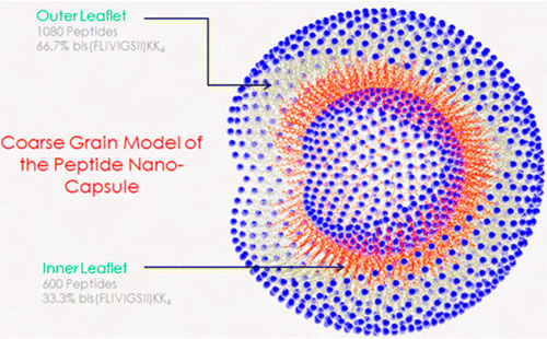 nanocapsule