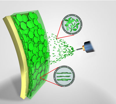 Large-scale self-assembled zirconium phosphate smectic layers via a simple spray-coating process