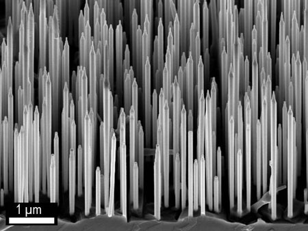 Electron microscope image of wurtzite GaA/AIGaAs core-shell nanowires