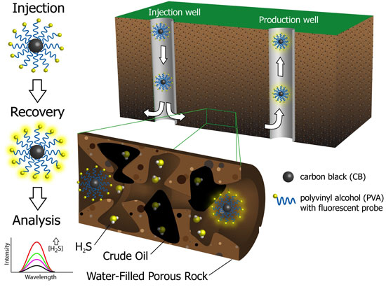 Fluorescent nanoreporters can tell oil producers how sour a reservoir is based on its hydrogen sulfide content