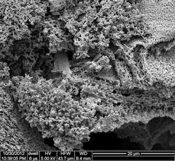 An electron microscope image shows carbon black nanoparticles