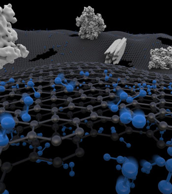 Separation of large molecules (white) from small molecules (blue) by a porous graphene membrane