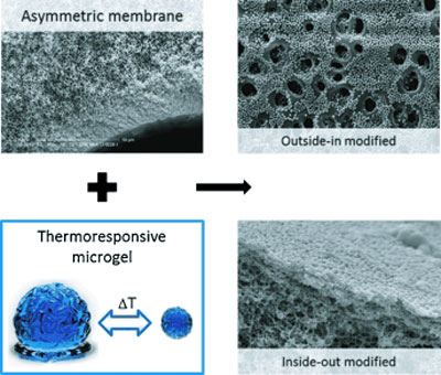 Microgel-based thermoresponsive membranes for water filtration