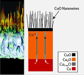 cross-section and phases observed during copper oxidation