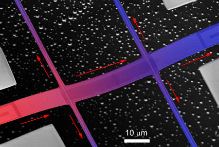 False color scanning electron micrograph of a suspended membrane supporting graphene
