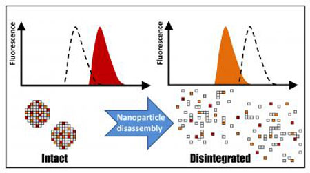 Nanoparticle disassembly causes a shift in the fluorescence pattern