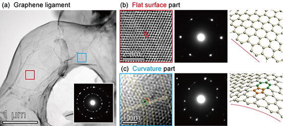 Morphology of 3D nanoporous graphene