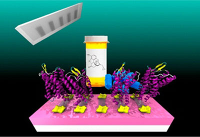 Ribbons of graphene (silver) are mounted on circuitry (gold), which can read out a response when the attached receptor proteins (purple) bind to a target molecule