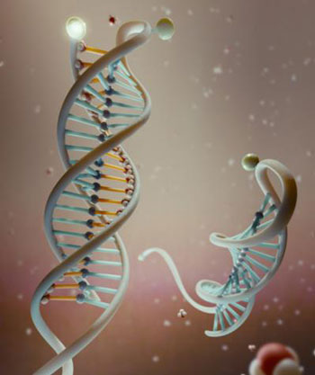 DNA nanosensor