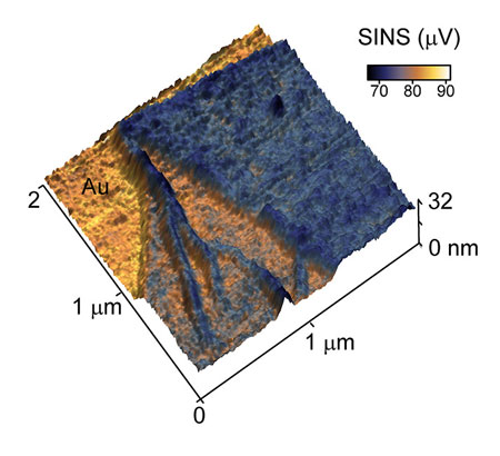 peptoid nanosheet