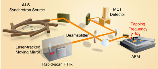 Experimental setup for SINS that includes the synchrotron light source, an atomic force microscope, a rapid-scan Fourier transform infrared spectrometer, a beamsplitter, mirrors and a detector