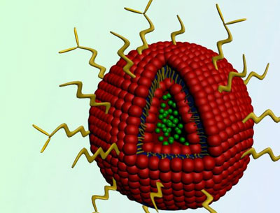 nanoparticle containing the cancer drug doxorubicin