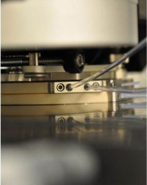 high temperature liquid cell attached to an atomic force microscop