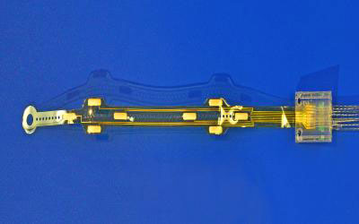 implantable microelectrode sensor