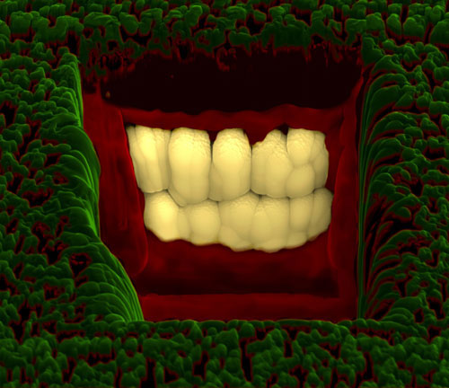 Nano teeth