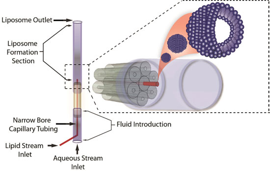 3D-microfluidic Hydrodynamic Focusing Device