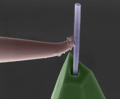 nanowire being placed into a hole drilled in an AFM probe
