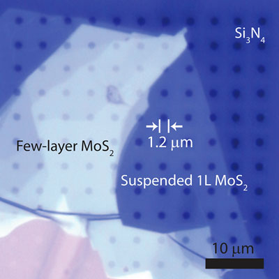 Optical micrograph of exfoliated molybdenum disulfide on a perforated grid
