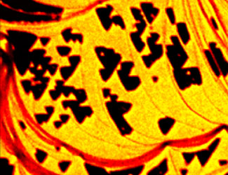 Visualization of the desorption of oxygen molecules from a silver surface