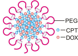 nanodaisy drug delivery technique