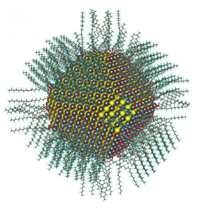 PbS Nanocrystal Passivated with Oleate and Hydroxyl Ligands