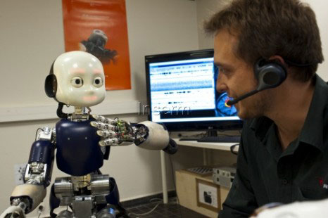 The iCub humanoid robot 