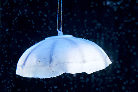 bio-inspired robotic jellyfish