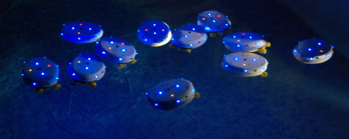 underwater robot swarm