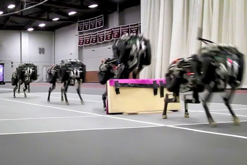 robotic cheetah to see and jump over hurdles as it runs