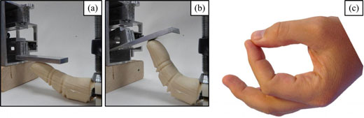 Bio-Inspired Robotic Finger