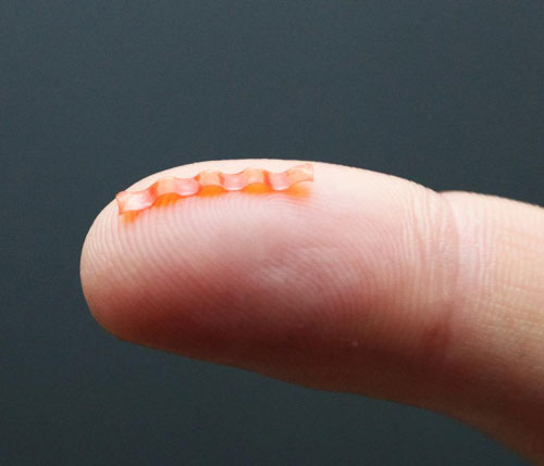 Caterpillar Micro-Robot Sitting on a Fingertip