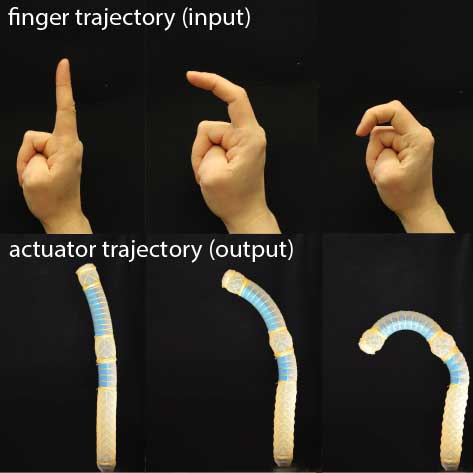 a model to design a soft robot that bends like an index finger