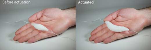 electrically actuated artificial muscle