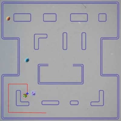 PacMan-like maze