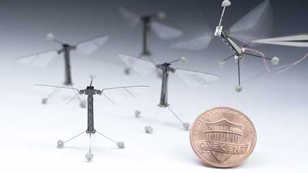 RoboBees
