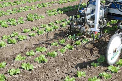 robotic weeder