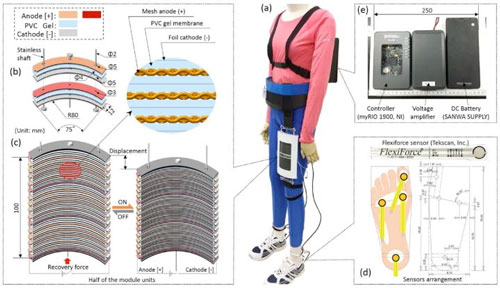 Soft Actuator-Based Walking Assist Wear