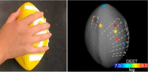 By combining a robotic arm and mass spectrometry, researchers can analyze the surface of 3-D objects, such as footballs