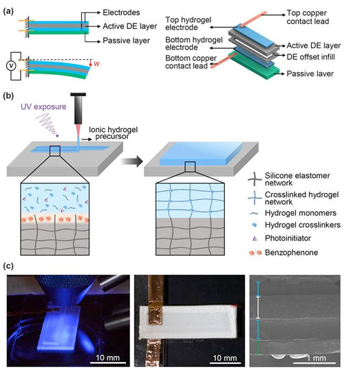 soft actuator device