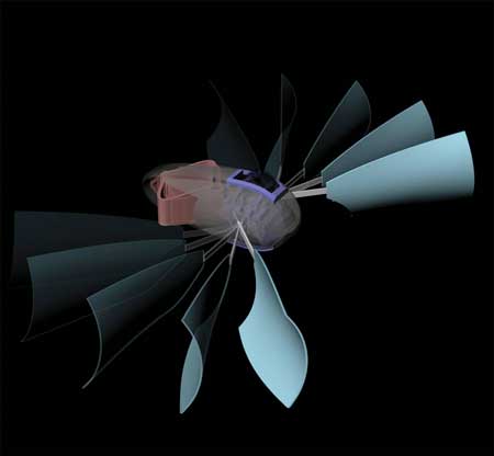 design for a robot that uses material deformation to propel itself through water