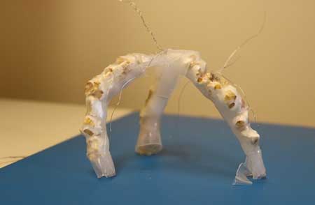 A soft robotic device powered by popcorn