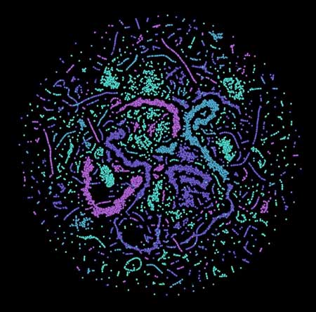 this image visualizes the activity of artificial neurons in a neural network while it is solving its task