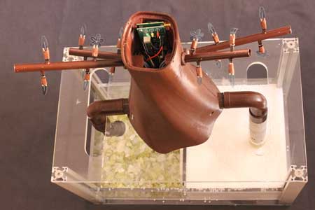 The PLANTOID prototype