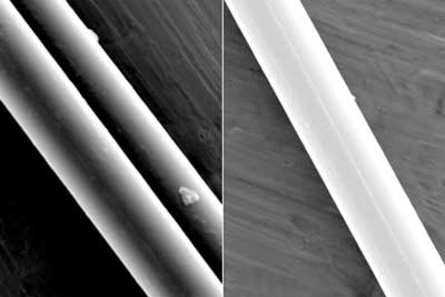 Scanning electron microscope images show filaments of spider dragline silk
